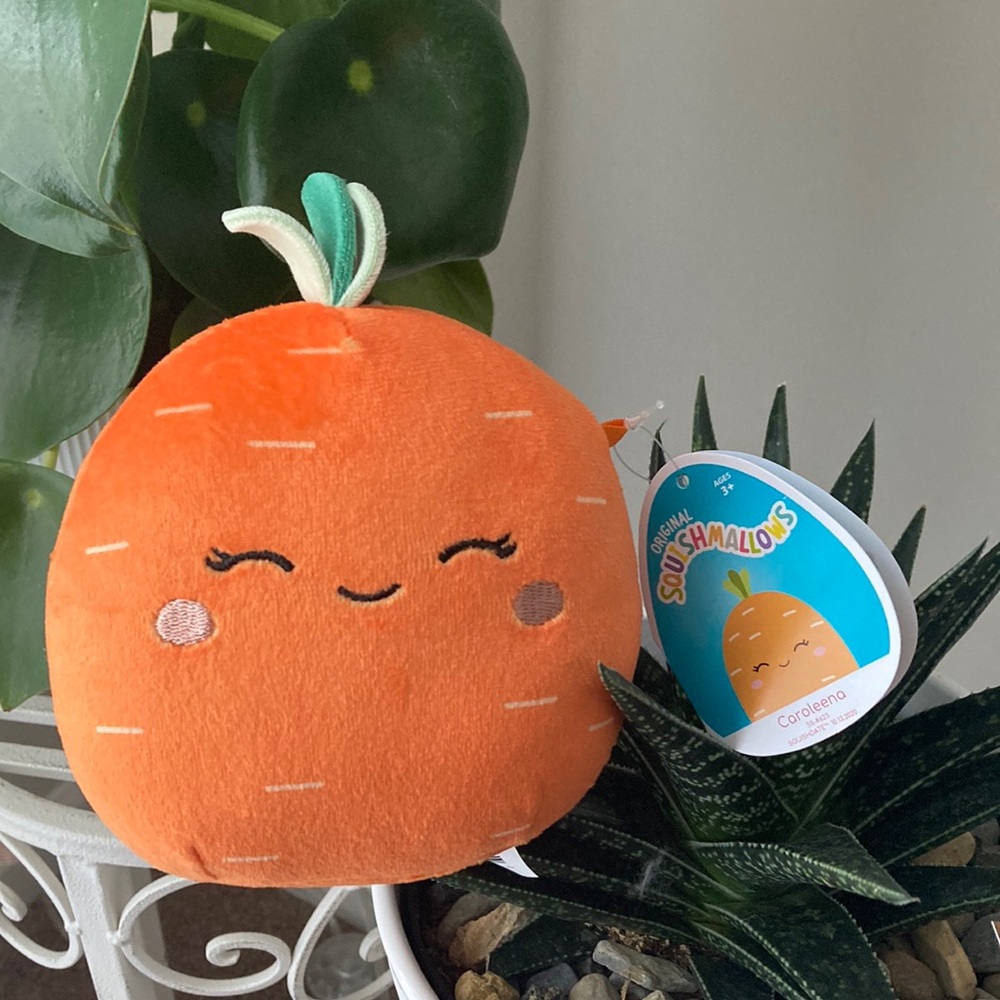 Squishmallow - Caroleena the Carrot 5” NWT